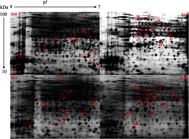 Figure 11.