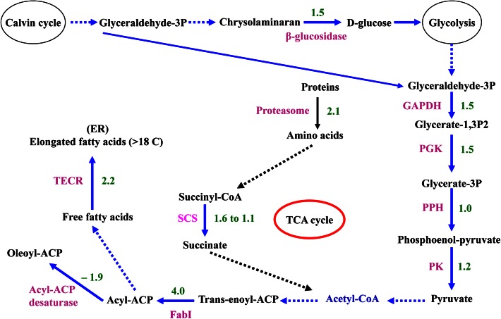 Figure 12.