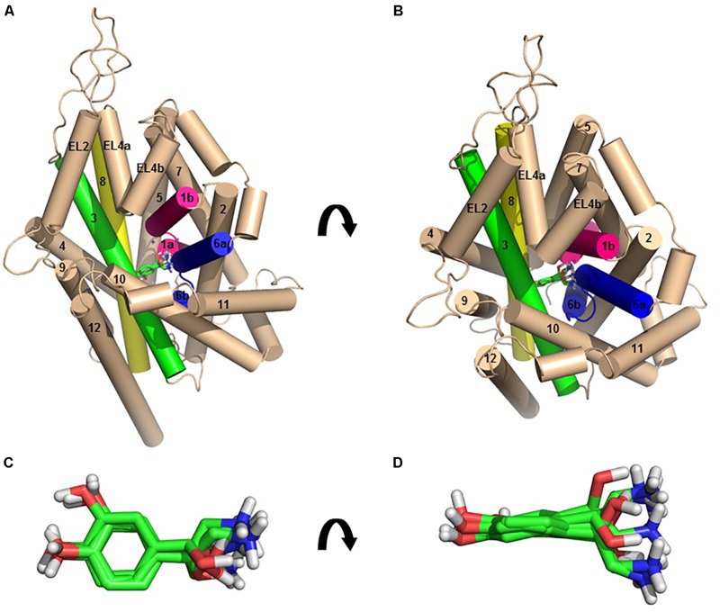 FIGURE 2