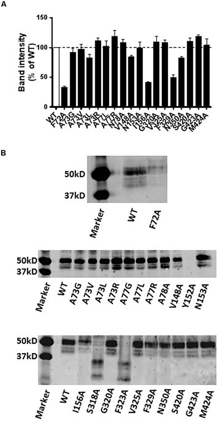 FIGURE 6