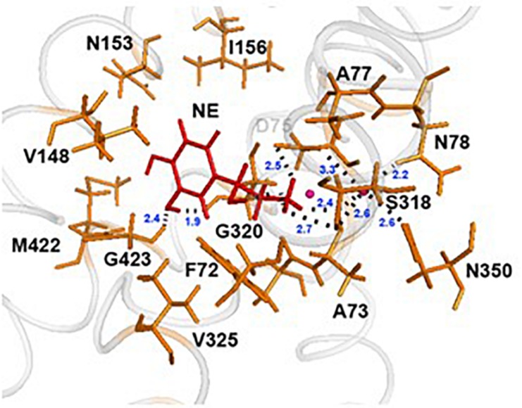 FIGURE 3