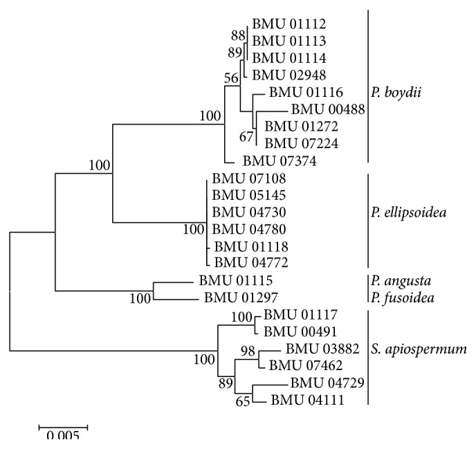 Figure 7