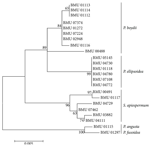 Figure 5