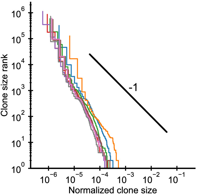 Figure 1—figure supplement 5.