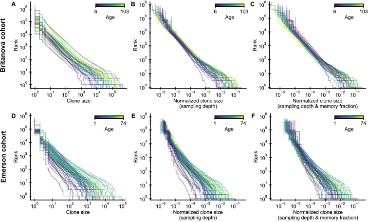 Figure 1—figure supplement 3.