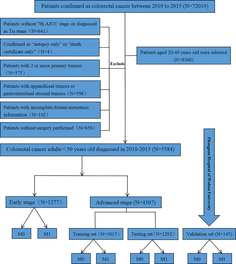 Figure 1