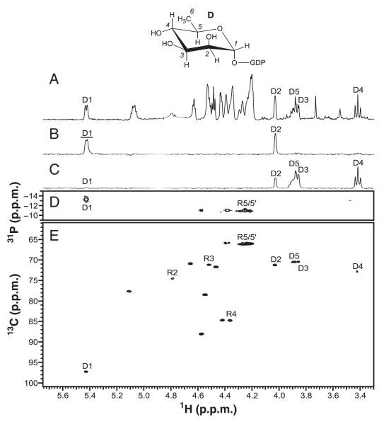 Fig. 6