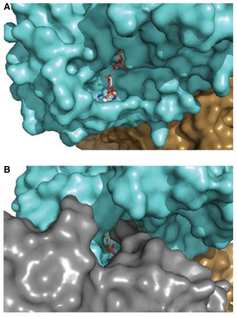 Fig. 10