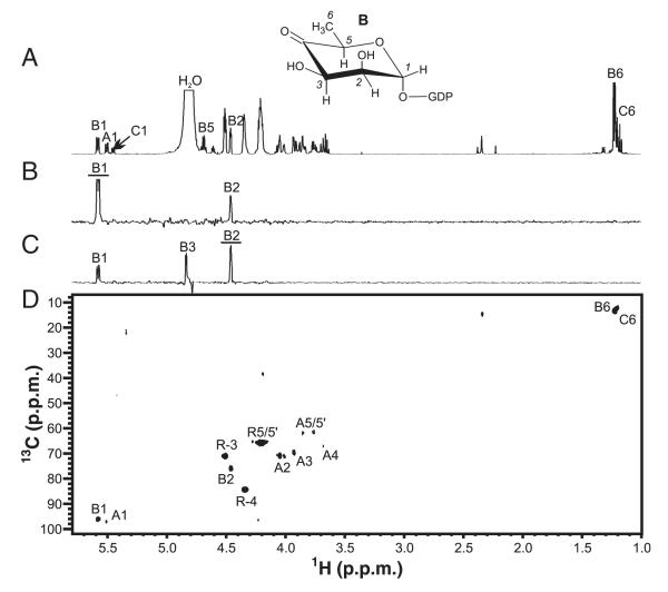 Fig. 5