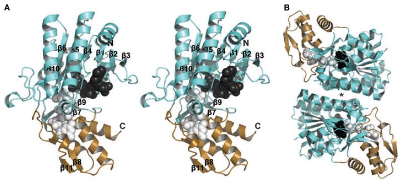 Fig. 9