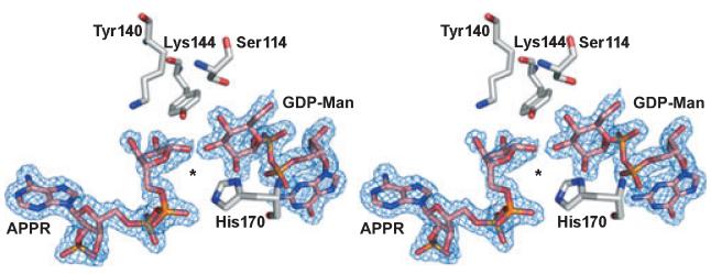 Fig. 8