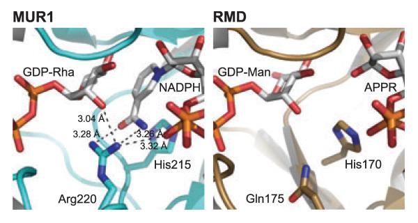 Fig. 11