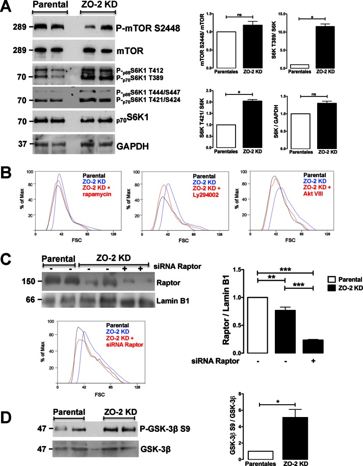 FIGURE 3: