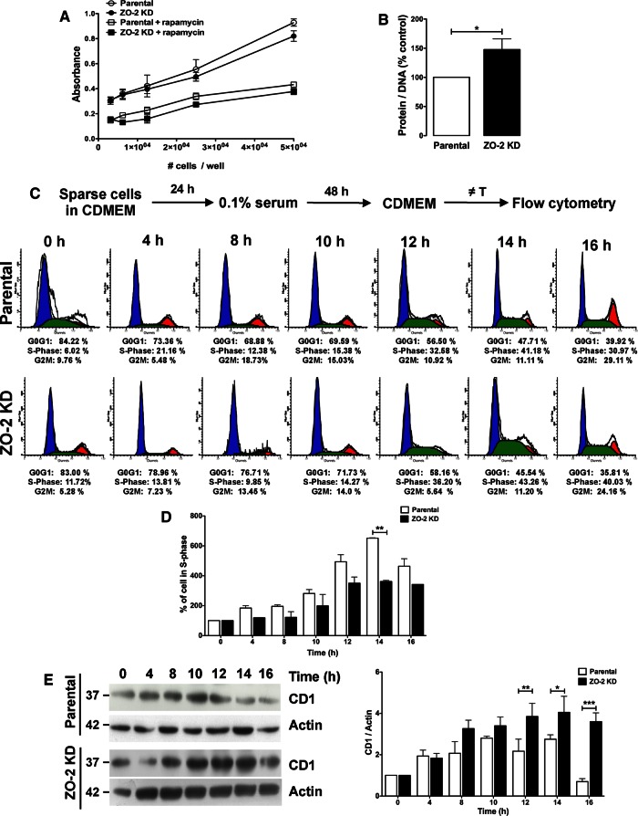 FIGURE 2: