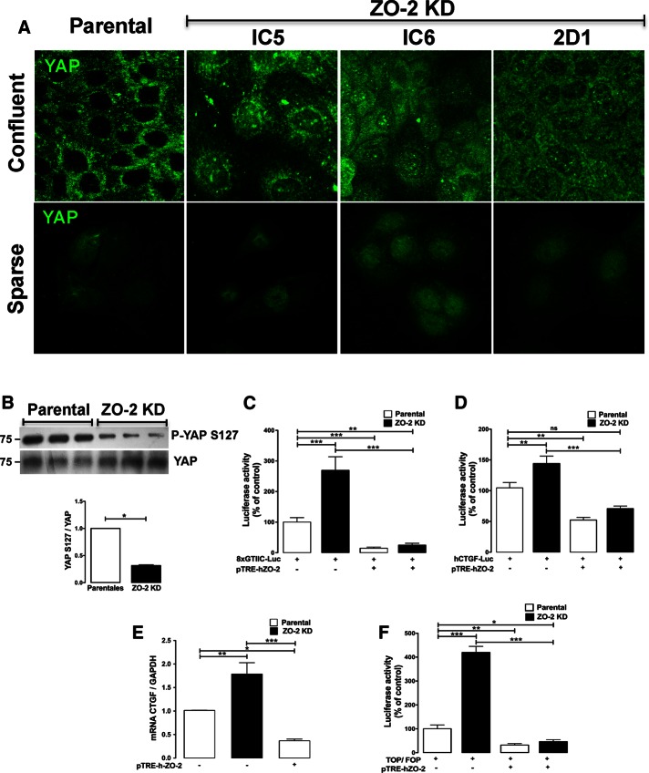 FIGURE 4: