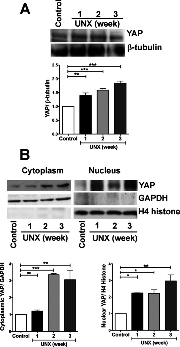 FIGURE 7: