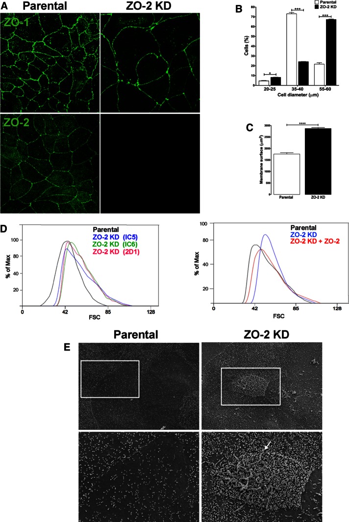 FIGURE 1: