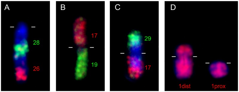 Fig 3