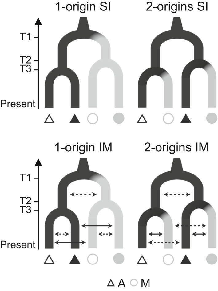 FIGURE 2