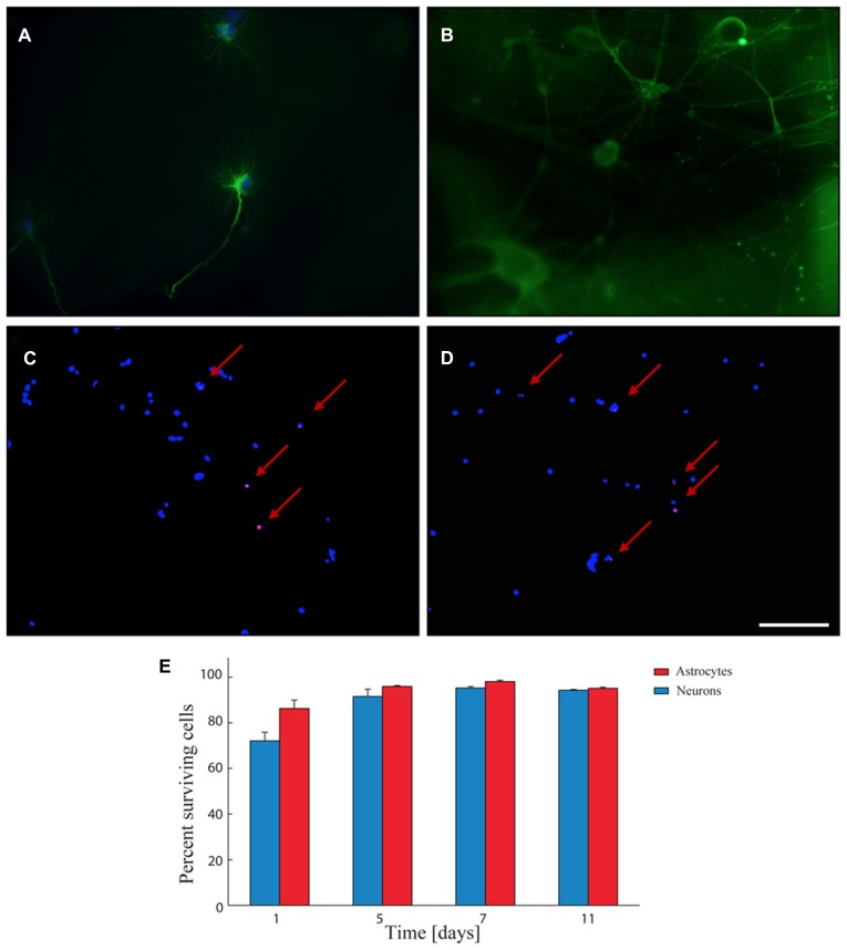 FIGURE 3