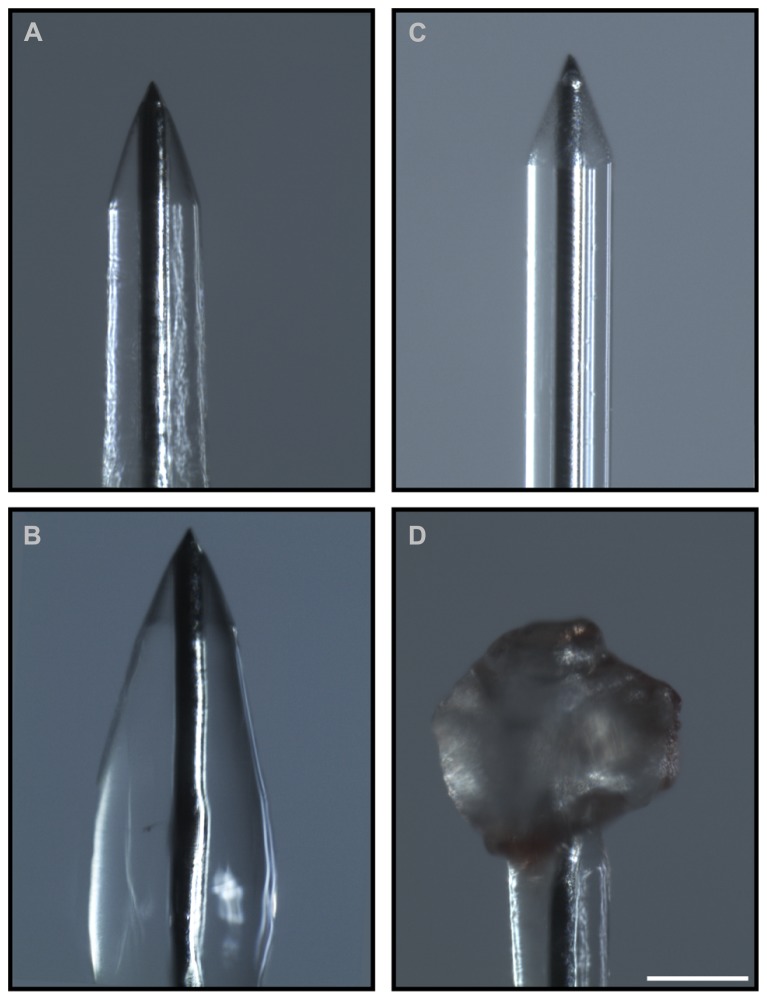 FIGURE 4