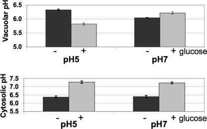 FIGURE 5.