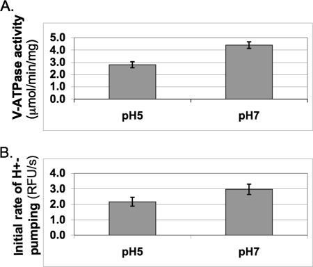 FIGURE 1.