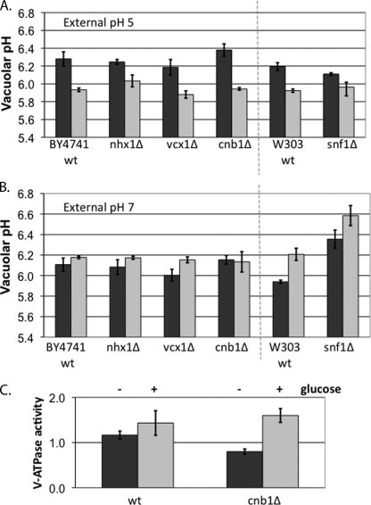 FIGURE 6.