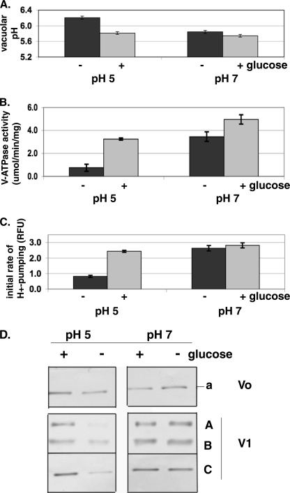 FIGURE 2.