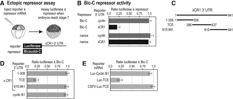 FIGURE 1.