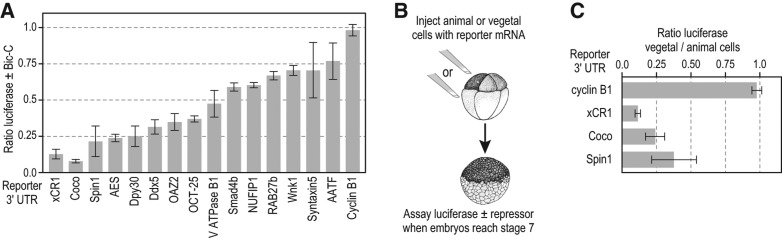 FIGURE 4.