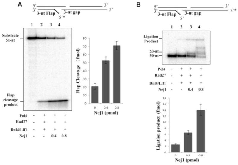 Fig. 9