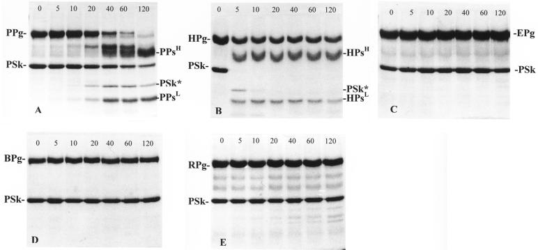 FIG. 6