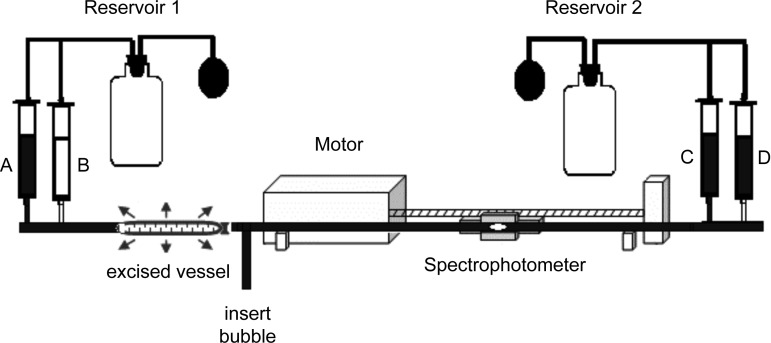 Fig. 1.