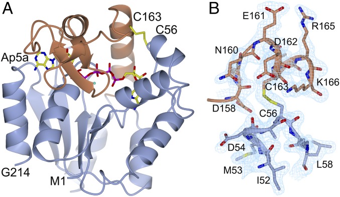 Fig. 4.