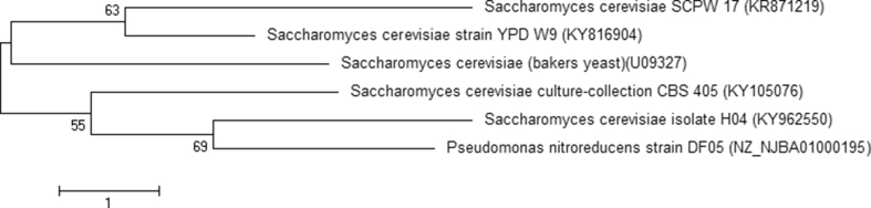 Figure 1