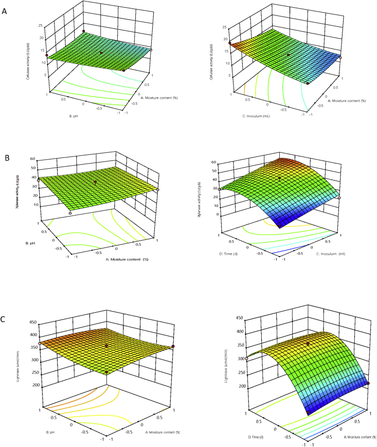 Figure 4