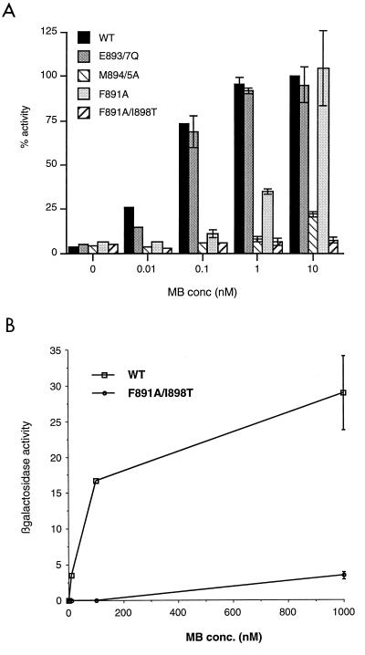 FIG. 1