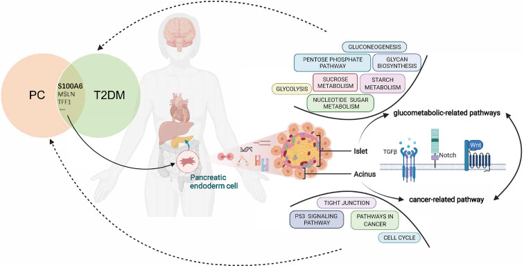 Figure 10