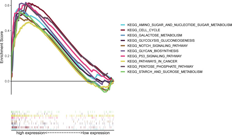 Figure 6