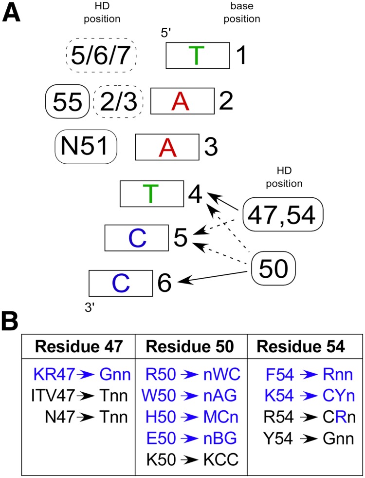 Figure 3.