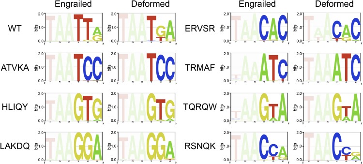 Figure 4.