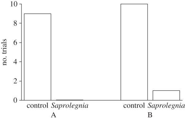 Figure 1.