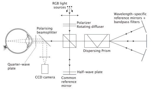 Fig. 2.