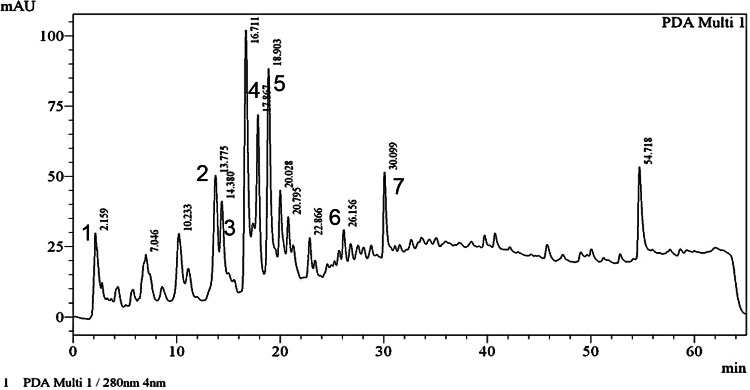 Fig. 2