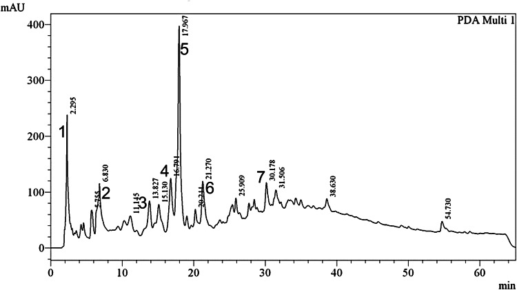 Fig. 1