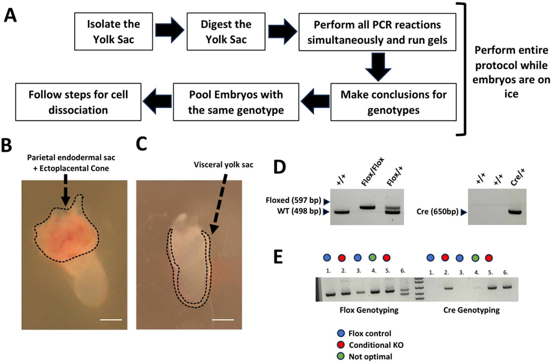 Figure 4: