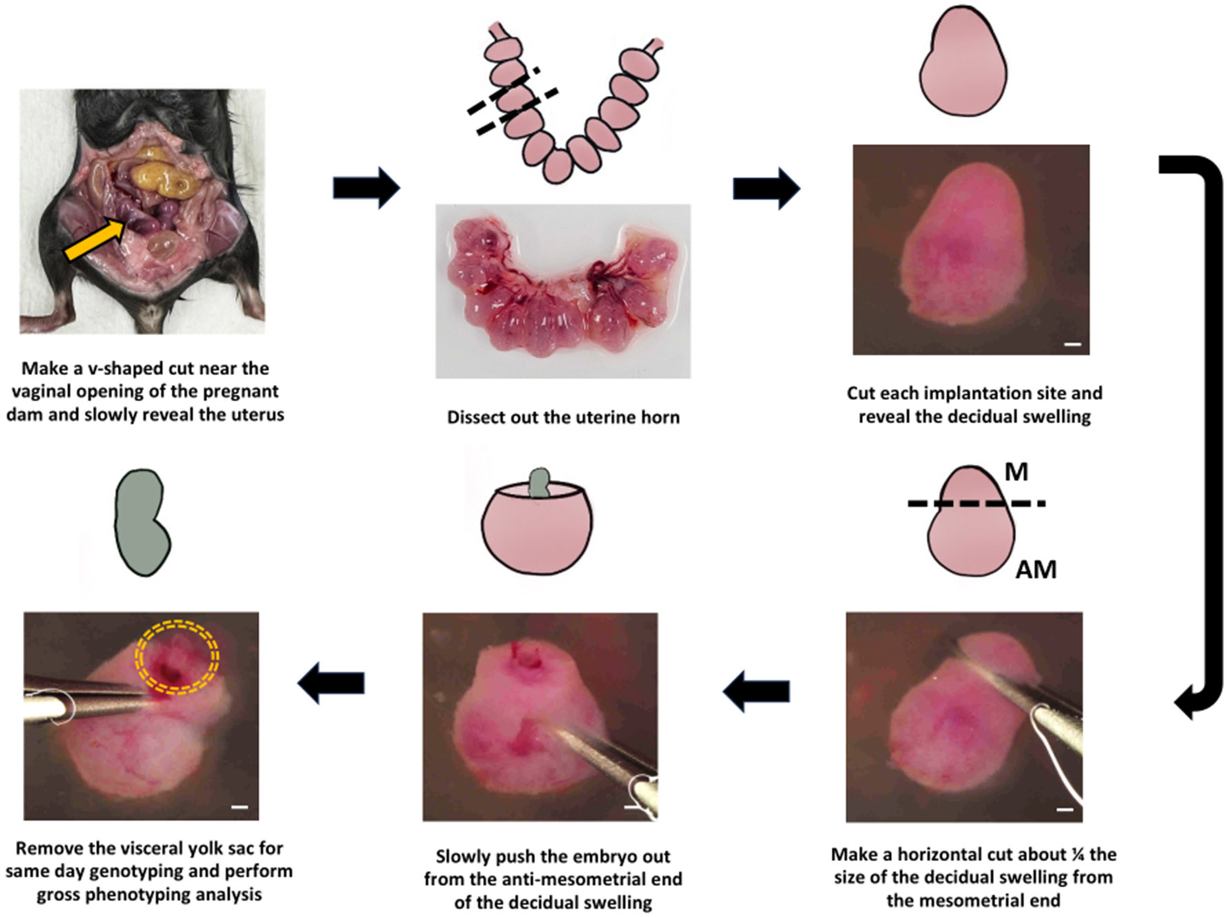 Figure 3: