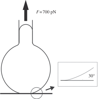 Figure 7.