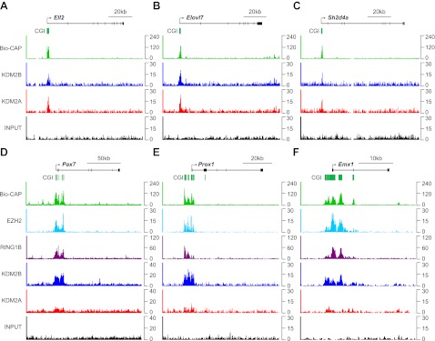 Figure 2—figure supplement 1.